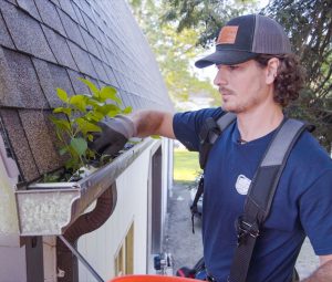 gutter services
